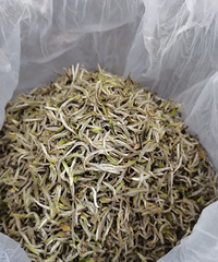 �����ײ��Ұ����