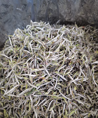 �ϼҸ���������ͷ�ײ��Ұĵ����