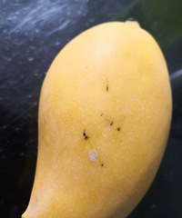 500�������ͳ��п�98��