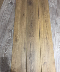 ת��¬ɭ����һ��