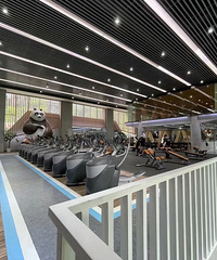 ���½�������