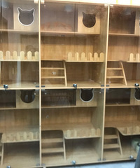 è�񣬸߶˴����ϵ���