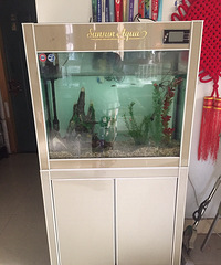 森森鱼缸鱼柜转让