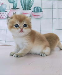 С������