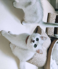 С������