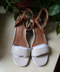 �ȷ���Ь36��