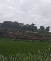 ��ͬ���崦��