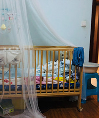 Ӥ�������˳��������棬��ϯ�����ʣ�