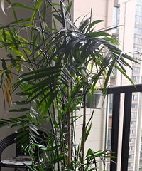 ���ܻ�������Ҫ�ĵͼ�����