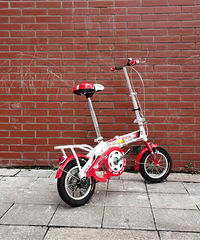 �۵����г� ��ͯ���������˶�����