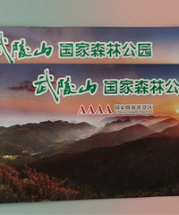 ����ɽɭ�ֹ�԰��Ʊ6��ת��