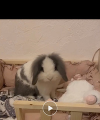 �������������