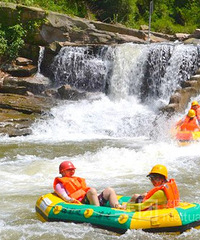 ���Ϸ�ӰϿƯ����Ʊ�Ż�ת ��Ч�ڵ��µ�