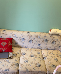 ɳ������