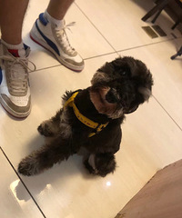 ���ﹷ����