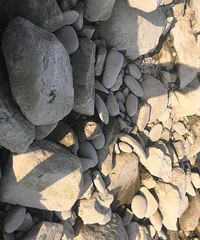 ���ɽ����ο�ԧ��