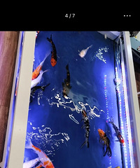 ���ֺ���С���ѵ���ģ�����11��ת��