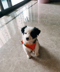 ���������������¼�