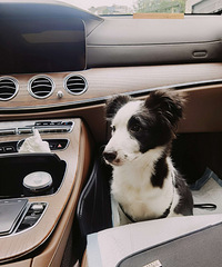 ���������������¼�