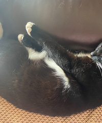 ����ҽԺ�����10��ת��