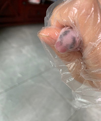 �����˿�����̳�