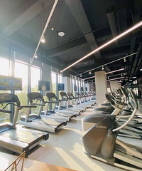 ��Ƽ��½���