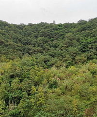 �����ҵ�ʱ�䣡��û��Ҫ��ģ�����������