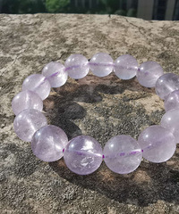 ��ˮ����﮻�ɵɵ�ֲ���150