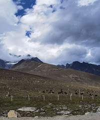 ��������ȥ�ĵط���������