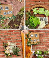 ��ĸɽ ����ͯԷ�׶�԰ С������ת��