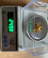 ���ջƽ𲬽������