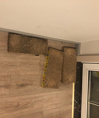 ת���Լ��۶�è