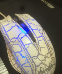 �����Ա���������