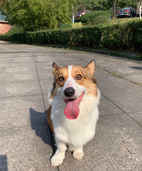 �»��ܵܣ�1��룬��������