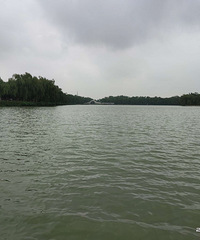 ɳƺ���Ͽ����н�������Ӿ��ת��