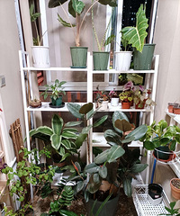 ����̨�ڵ�ռ䡣