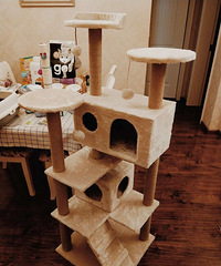 ���ת��è���ܣ�����Ҫ�Ĳ�ʺ�١�