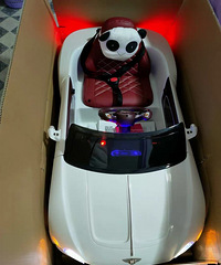 ��ͯ�綯������ҡ��������ң�س�