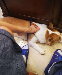 ��������