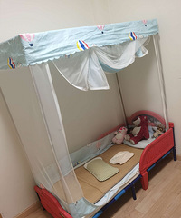 ��˹���ͯ���ײ˼�ת��