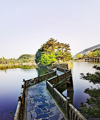 ������ת�̽�����������ת��