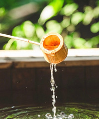 ������Ȫ����Ʊ