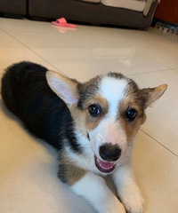 �����¿»����� Ѱ��Ե��