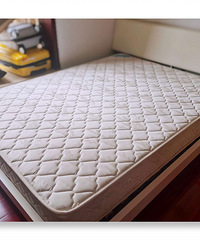 תʵľ��+���棬300����������