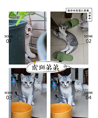 ����Ӣ�������ߴ��ؼҰɣ��г���