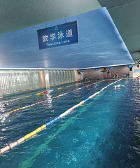 �����Ƶ���Ӿ������