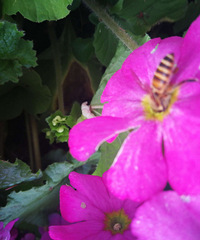 �ͼ�ת4�Ű�����ȪƱ