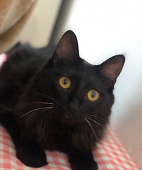 è����������