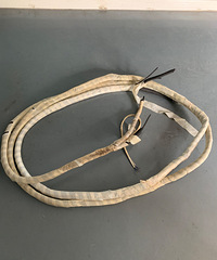 ���˵���ҪǮ���յ�ȫͭͭ��