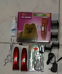 ת�����õĶ���